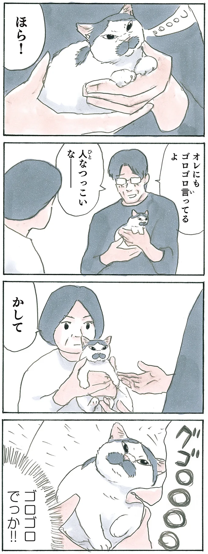 『拾い猫のモチャ7』より