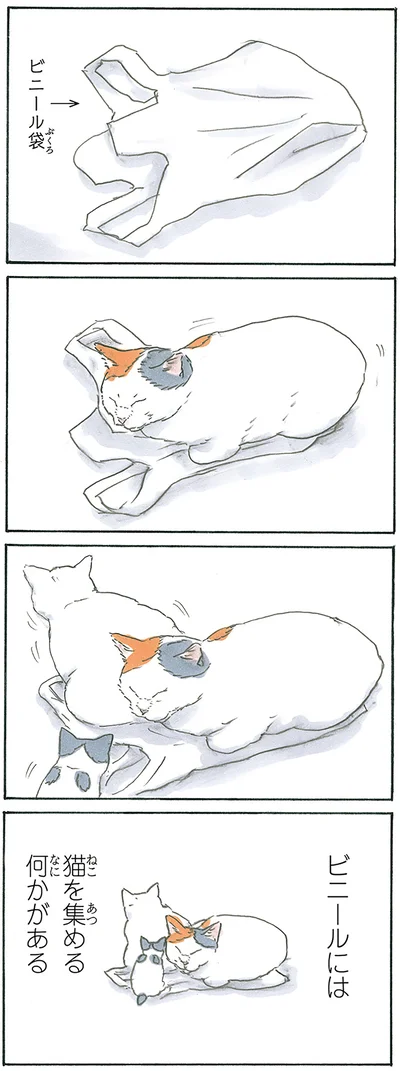 『拾い猫のモチャ7』より