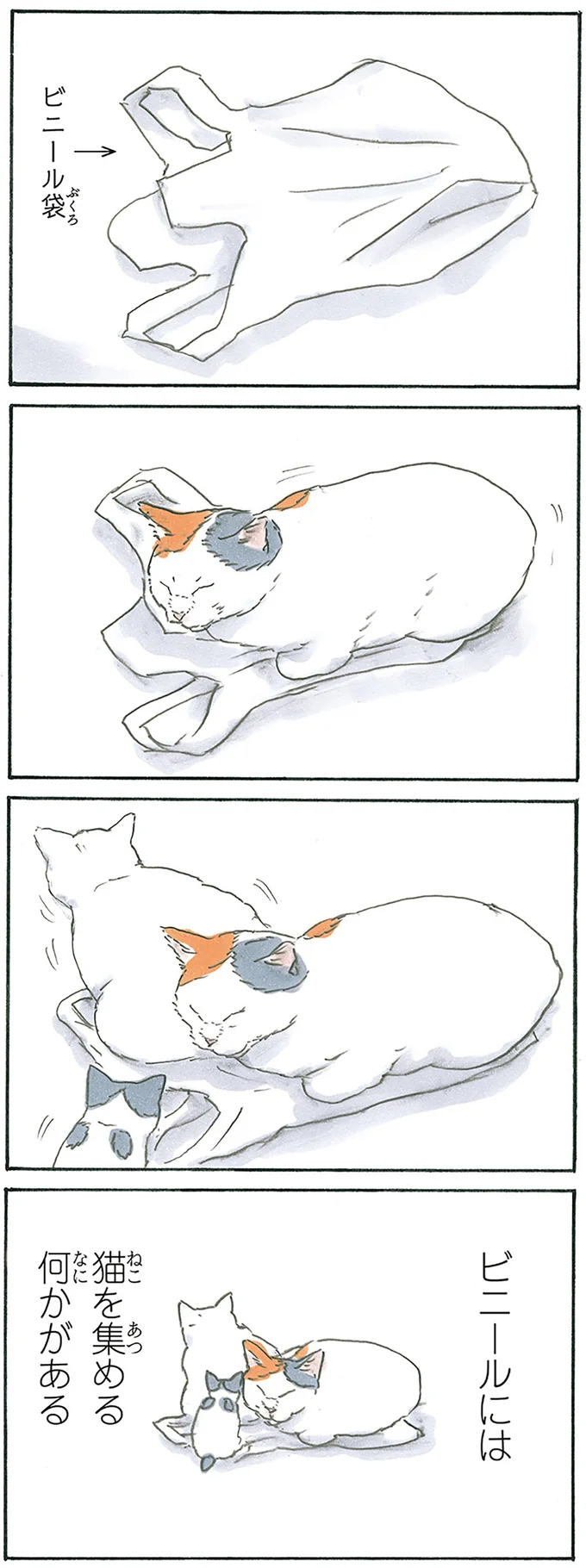 『拾い猫のモチャ7』より