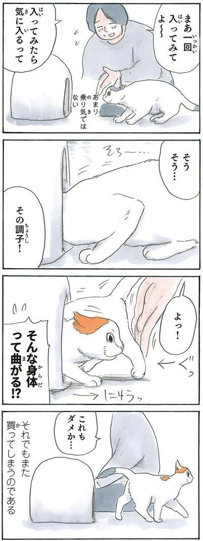 『拾い猫のモチャ7』より