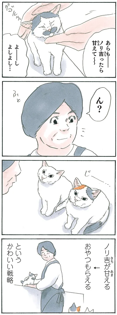 『拾い猫のモチャ7』より