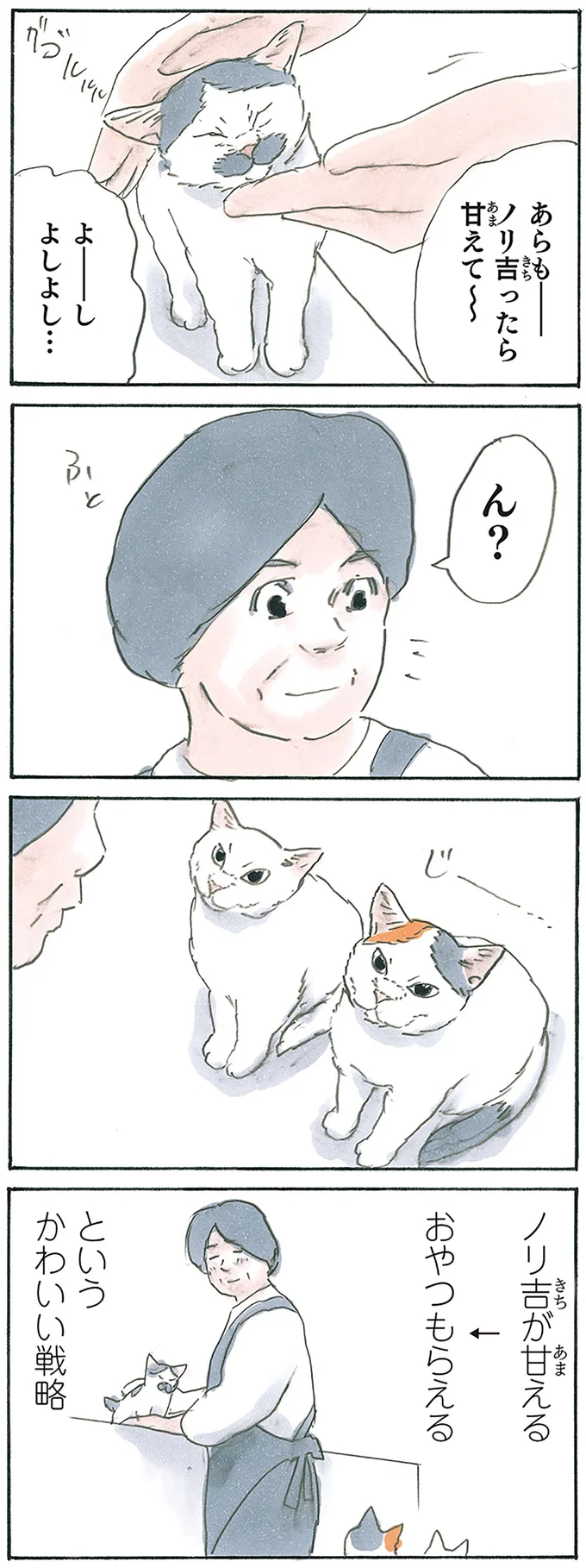 『拾い猫のモチャ7』より