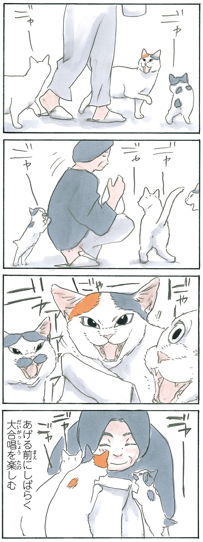 『拾い猫のモチャ7』より