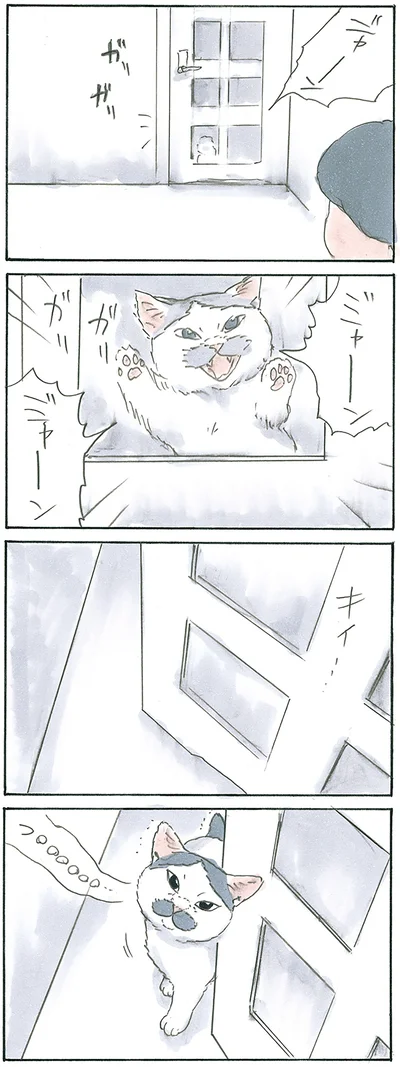 『拾い猫のモチャ7』より