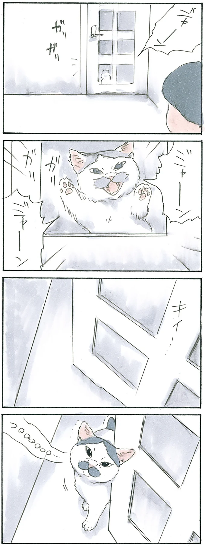 『拾い猫のモチャ7』より