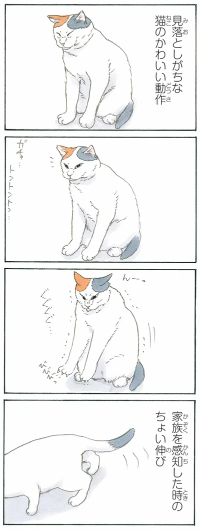 私の好きな猫の動作