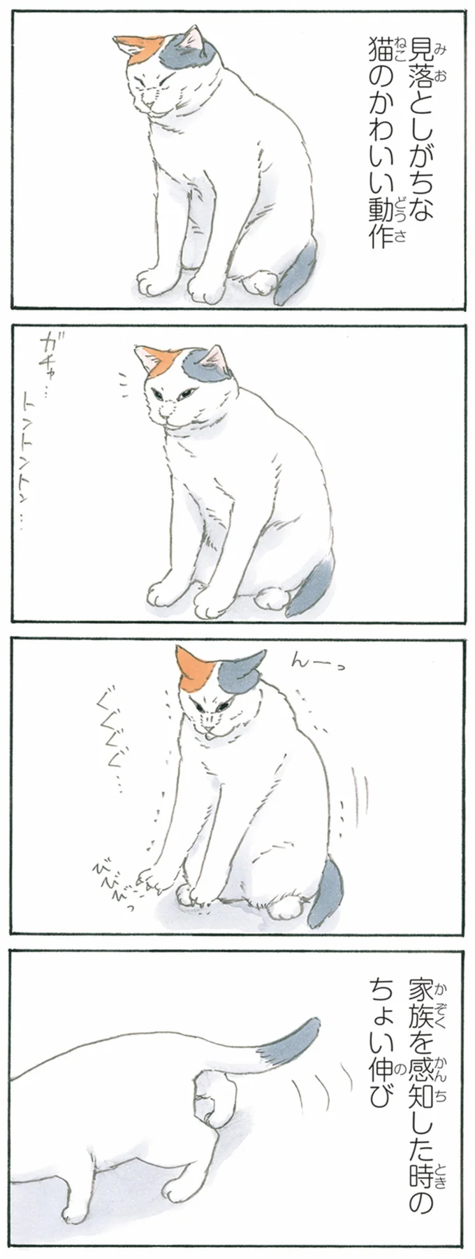 私の好きな猫の動作