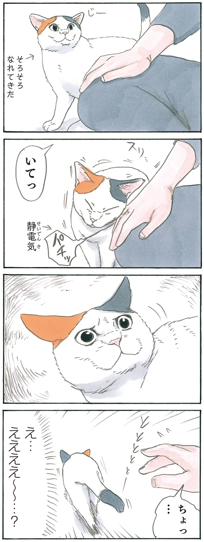 『拾い猫のモチャ8』より