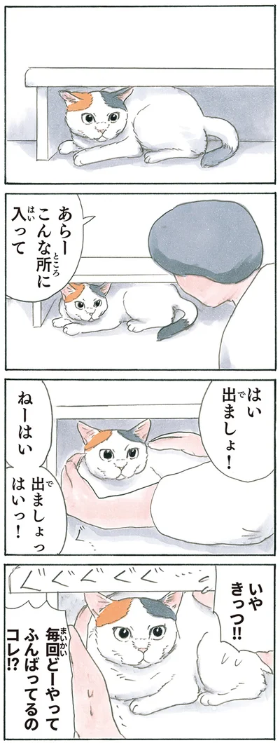 『拾い猫のモチャ8』より