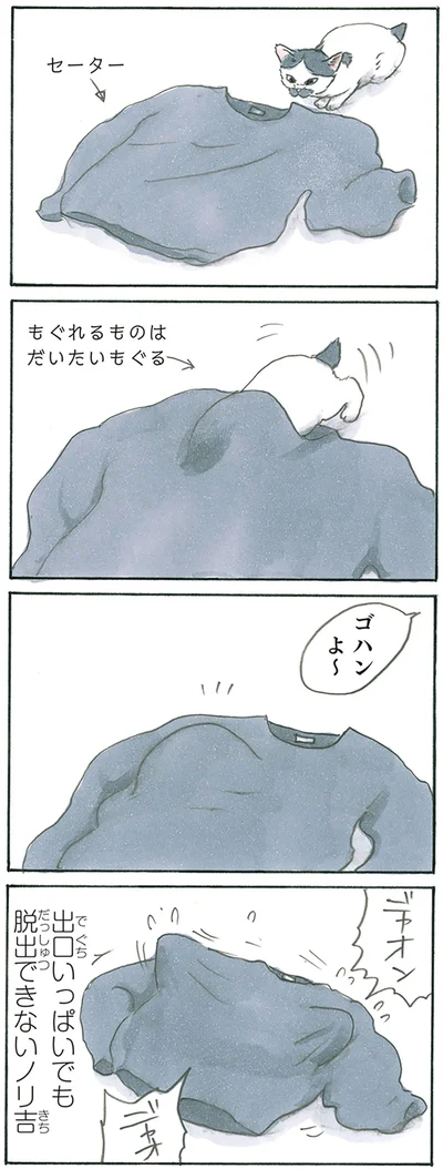 『拾い猫のモチャ8』より