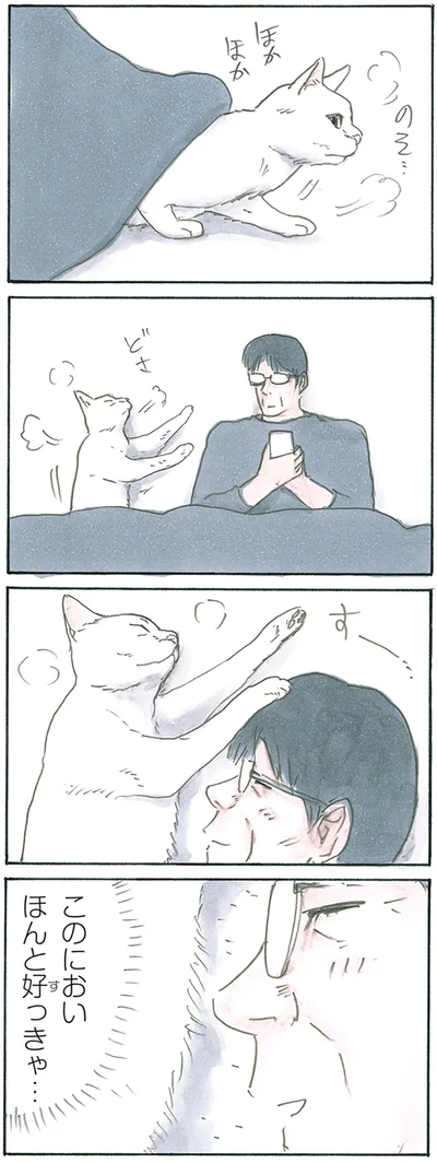 『拾い猫のモチャ8』より