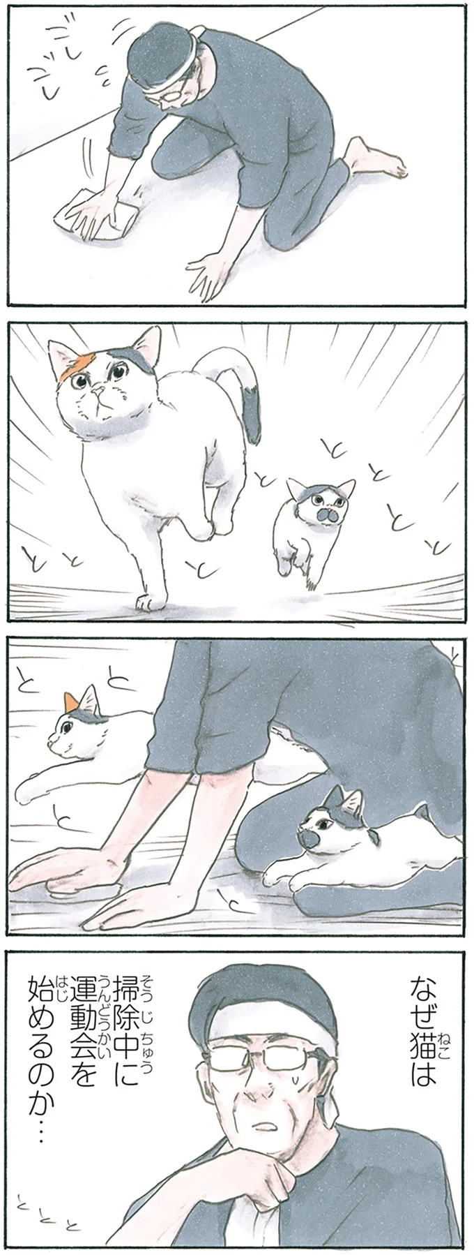 『拾い猫のモチャ8』より