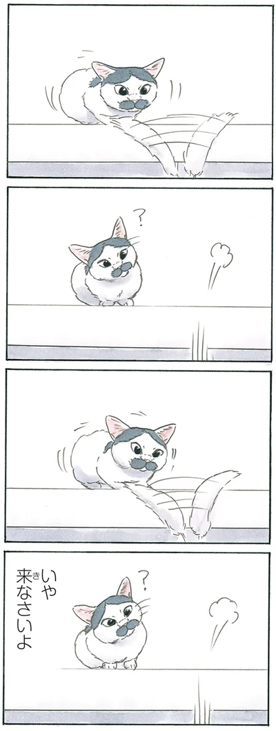 『拾い猫のモチャ8』より