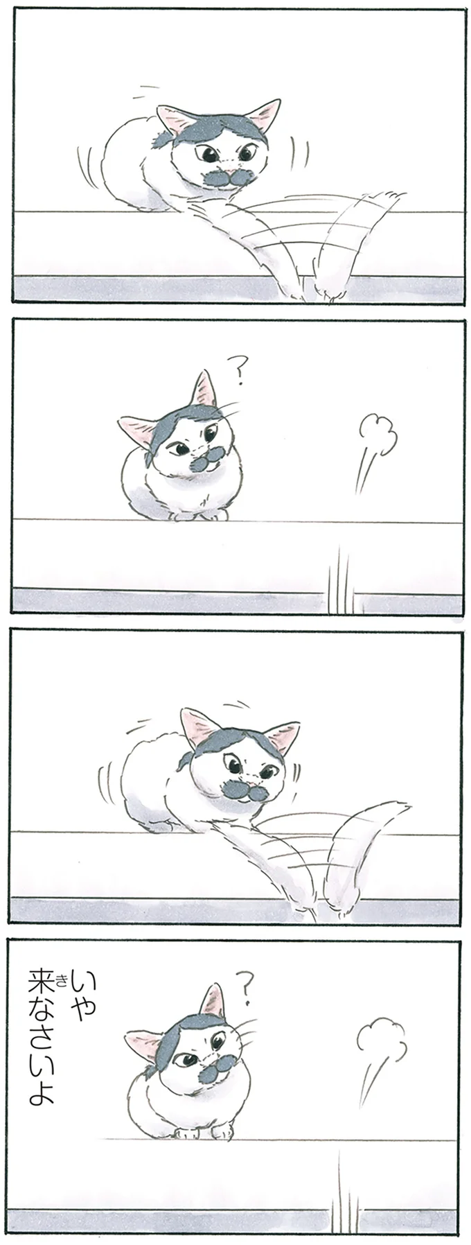 『拾い猫のモチャ8』より