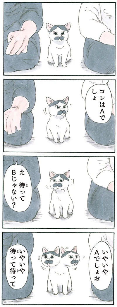 『拾い猫のモチャ8』より