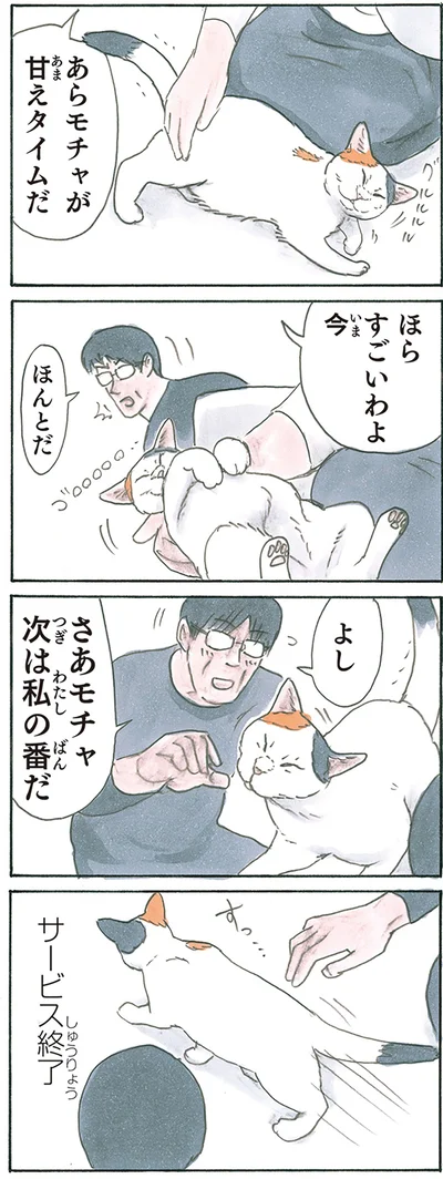 『拾い猫のモチャ8』より