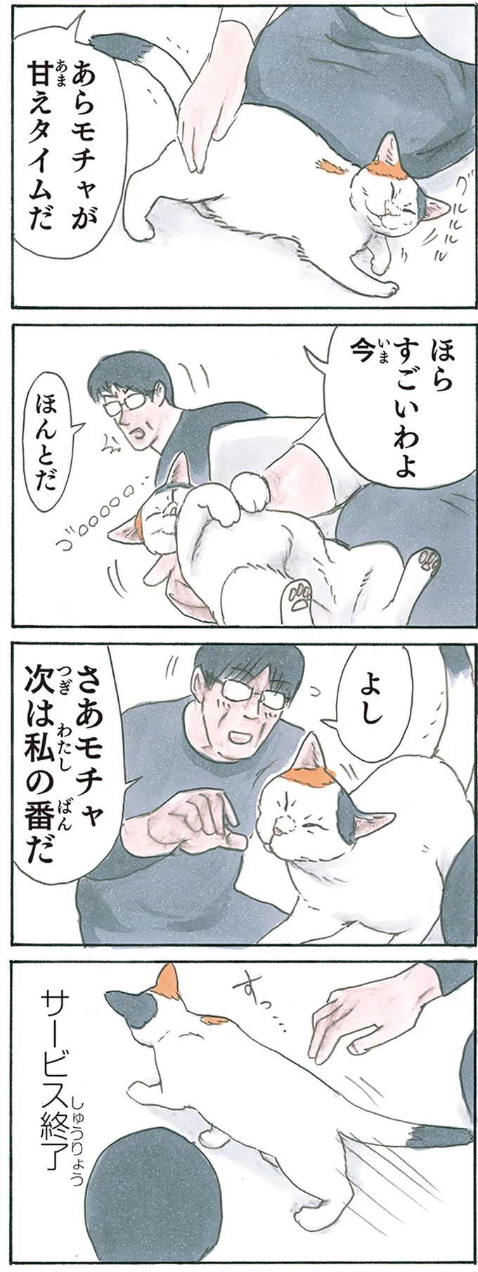『拾い猫のモチャ8』より