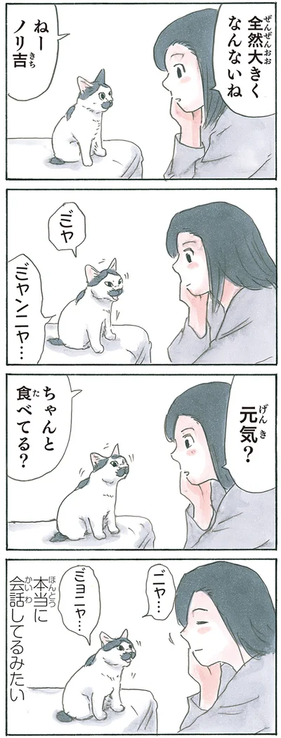 『拾い猫のモチャ8』より