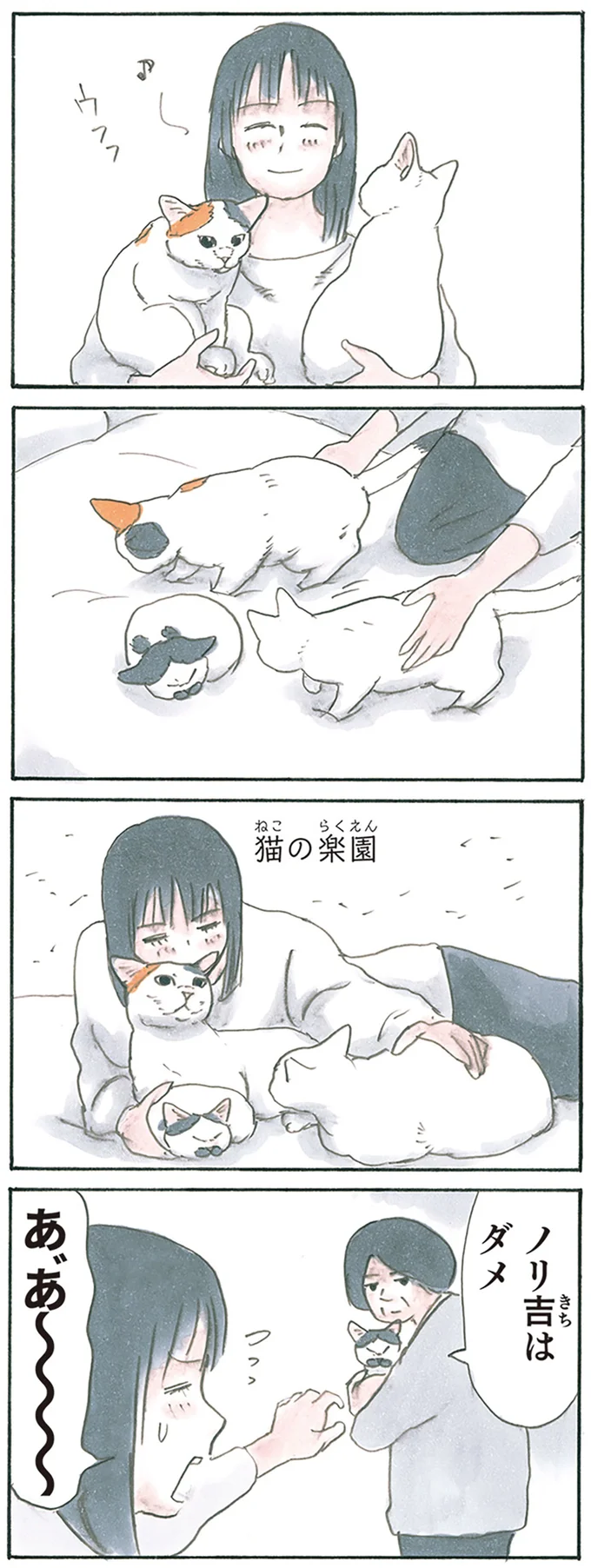 『拾い猫のモチャ8』より