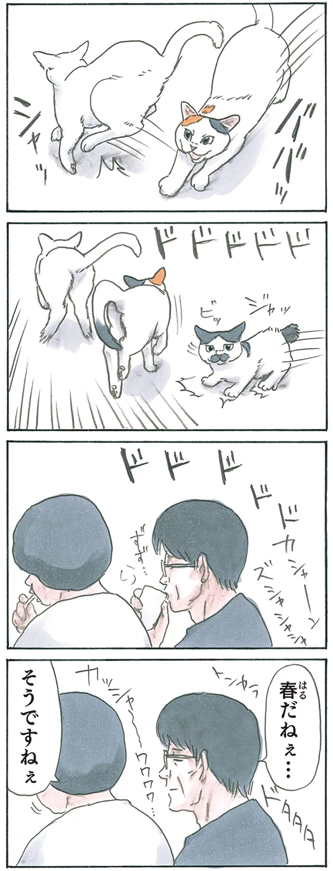 『拾い猫のモチャ8』より