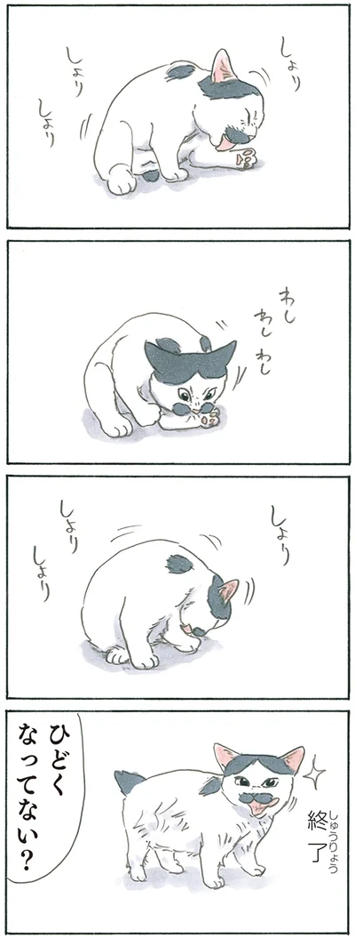 『拾い猫のモチャ8』より