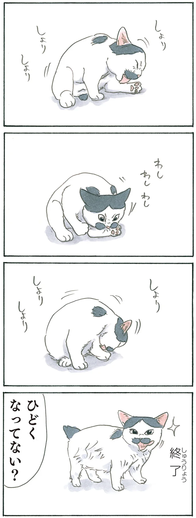 『拾い猫のモチャ8』より