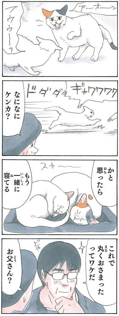 『拾い猫のモチャ8』より