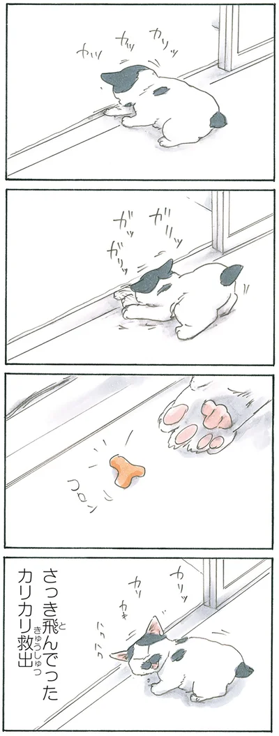 『拾い猫のモチャ8』より