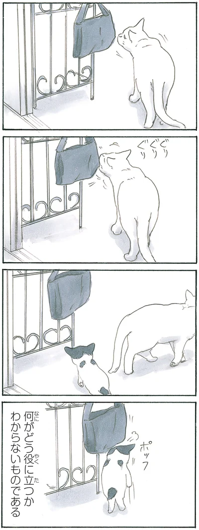 『拾い猫のモチャ8』より