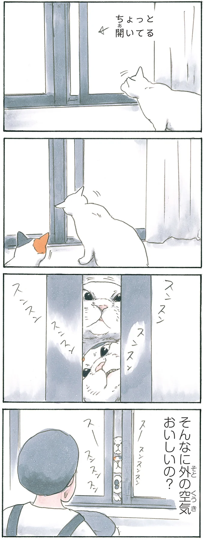 『拾い猫のモチャ8』より