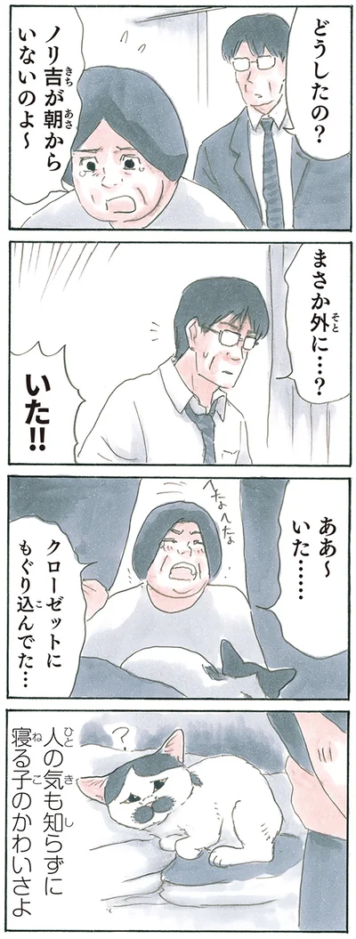 『拾い猫のモチャ8』より