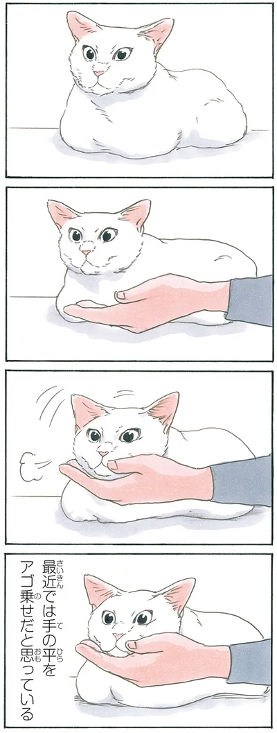 『拾い猫のモチャ8』より