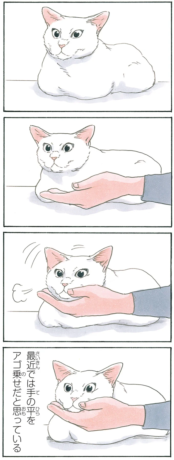 『拾い猫のモチャ8』より