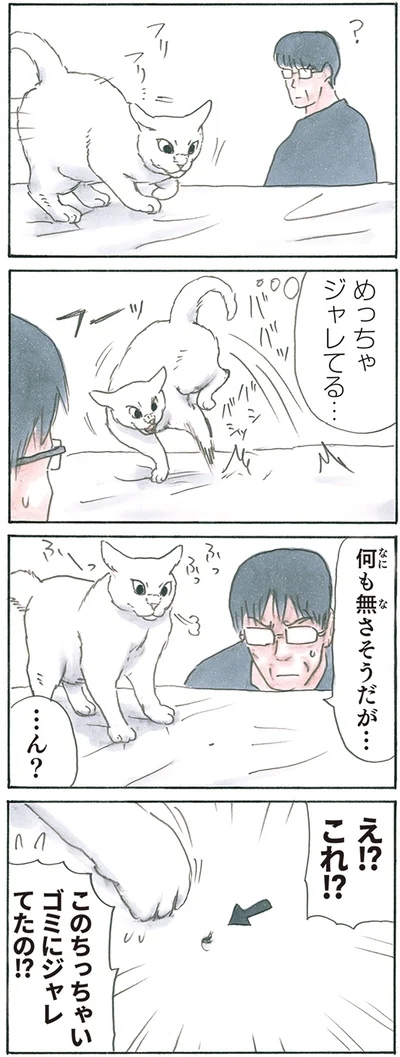 『拾い猫のモチャ8』より