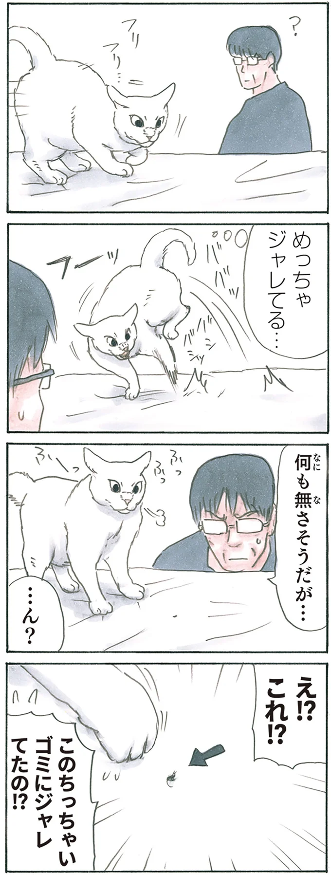 『拾い猫のモチャ8』より