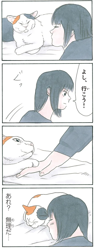 『拾い猫のモチャ8』より