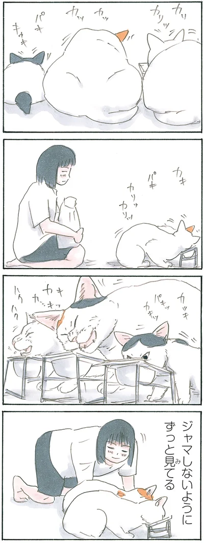 『拾い猫のモチャ8』より