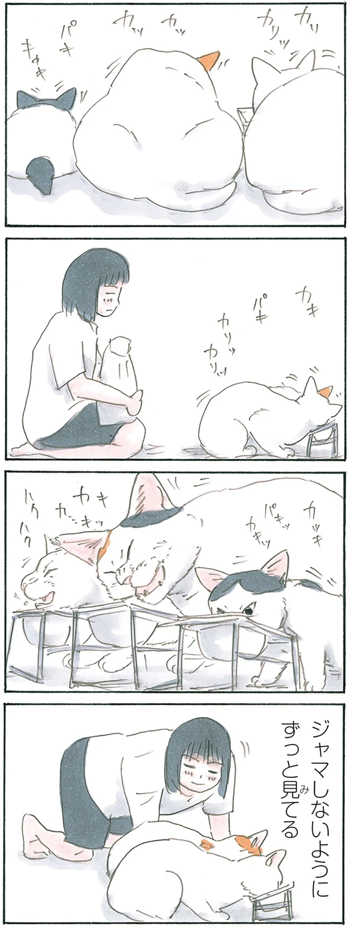 『拾い猫のモチャ8』より