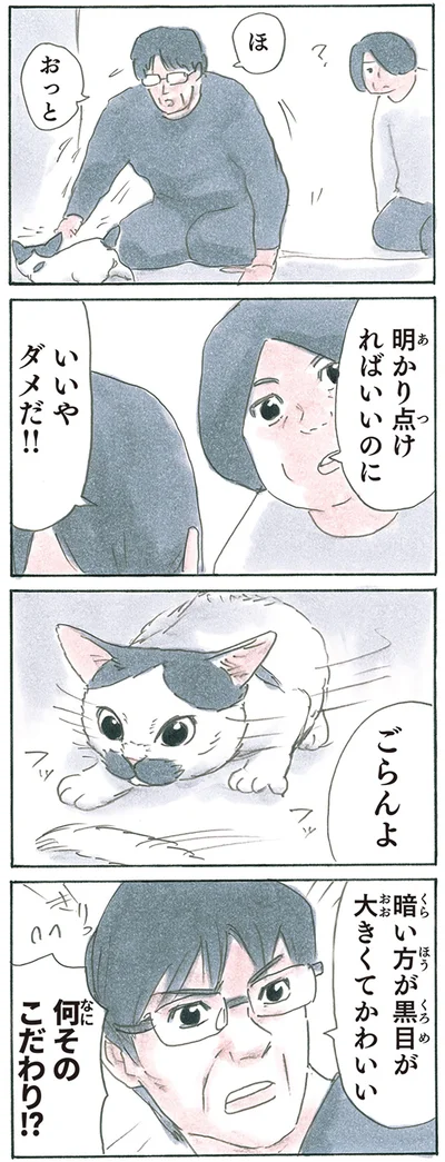 『拾い猫のモチャ8』より