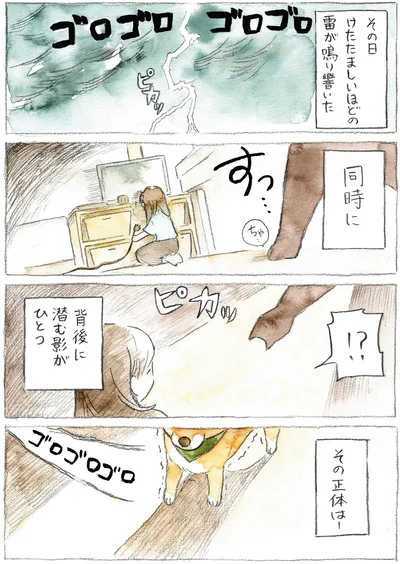 『柴犬ぽんちゃん、今日もわが道を行く』より