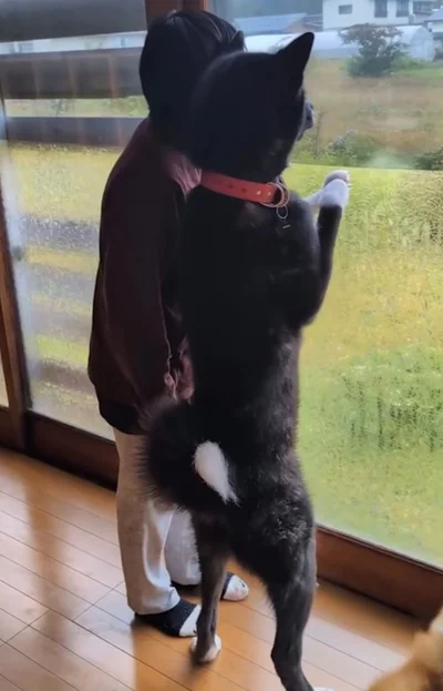 ほぼ同じ身長の1人と1匹▶ほかの投稿でも…（⇒次へ）