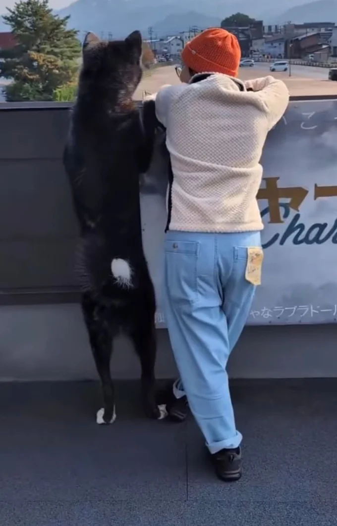 建物の屋上で肩を並べるお殿水くんと飼い主さん▶「私もまぜて〜」と…(⇒次へ)