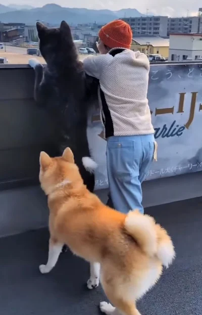 妹の甘露甘露（かんろかんろ）ちゃんが加わる▶妹もやはり…！（⇒次へ）