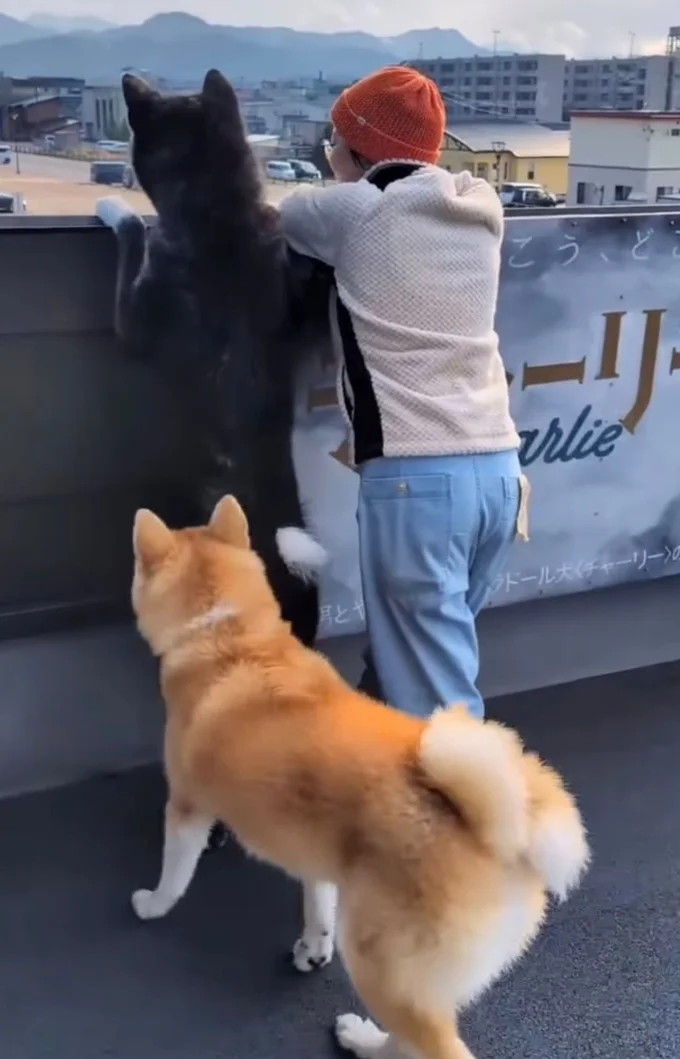 妹の甘露甘露(かんろかんろ)ちゃんが加わる▶妹もやはり…!(⇒次へ)