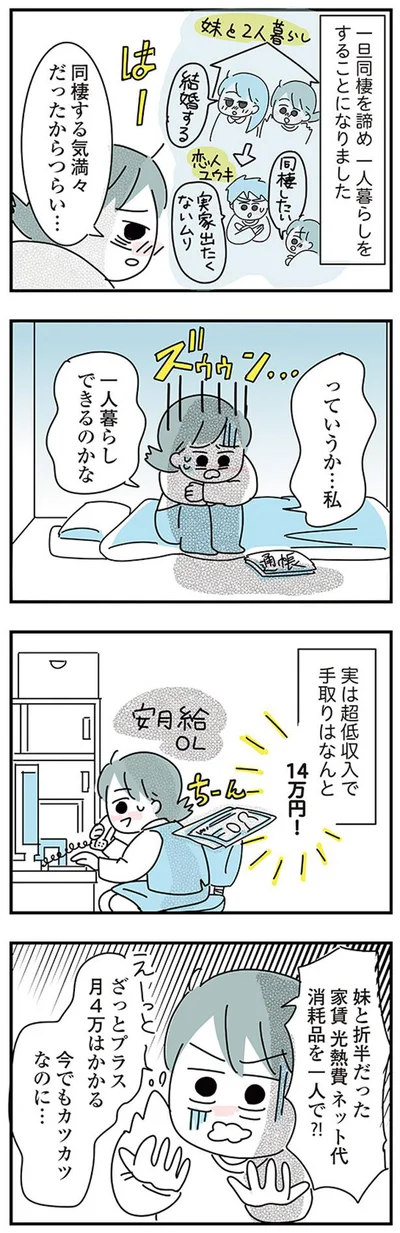 実は超低収入で