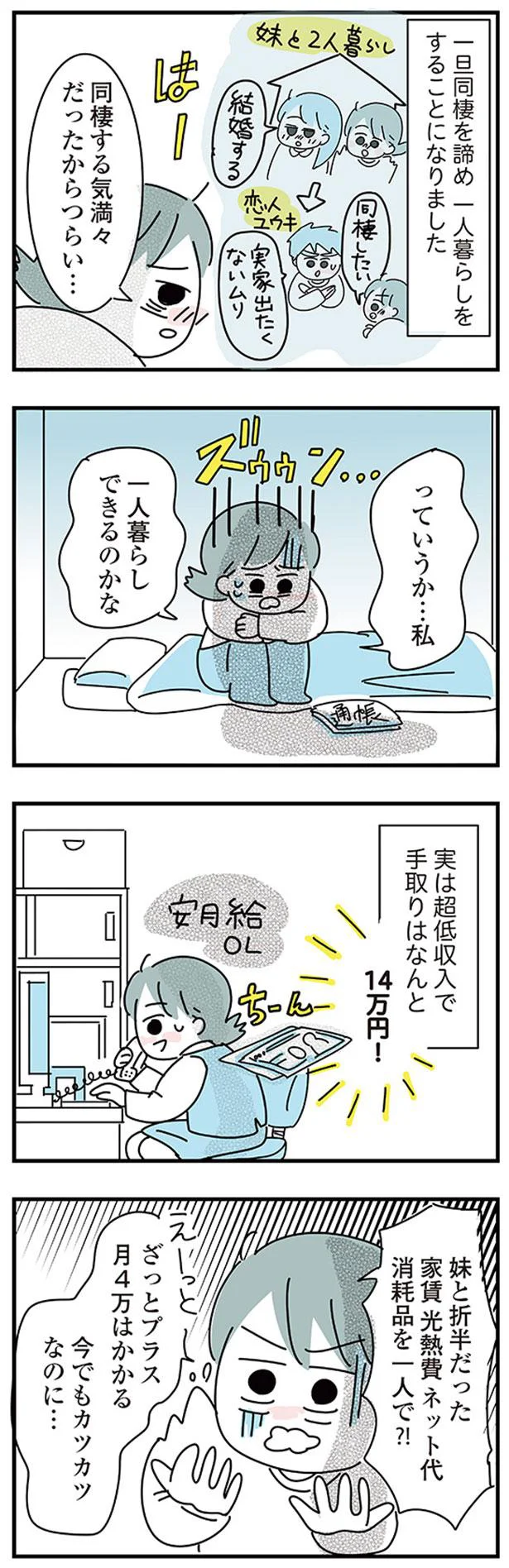 実は超低収入で