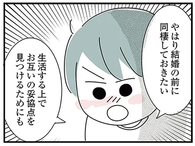 やはり結婚の前に同棲しておきたい