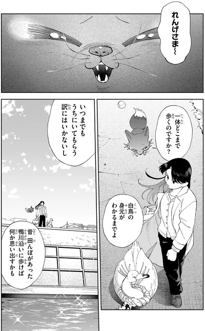 一体どこまで歩くのですか？