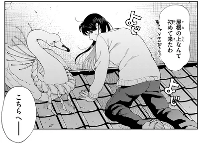 屋根の上なんて初めて来たわ