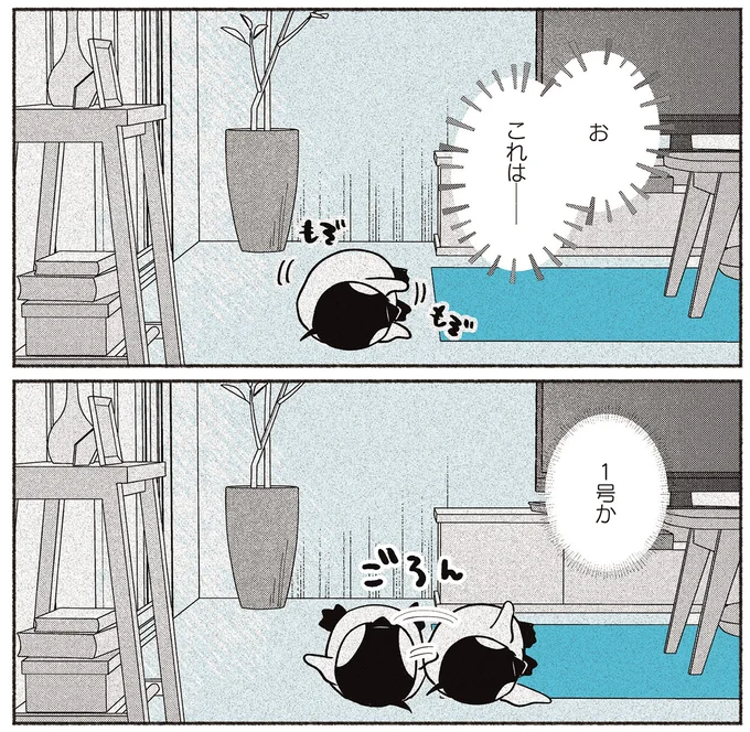 これは──